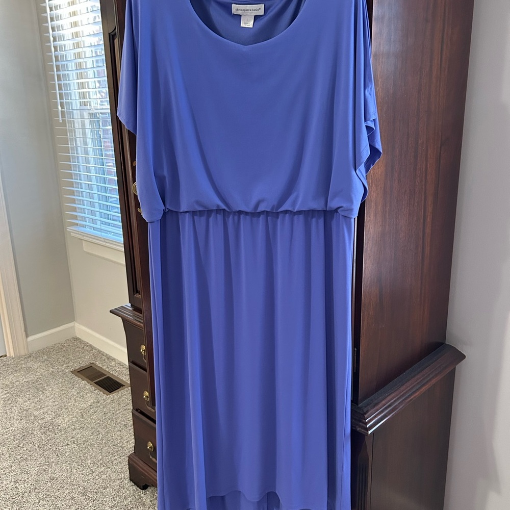 Elegant Blue Women's Dress